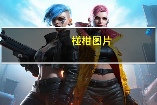 椪柑图片（椪柑）