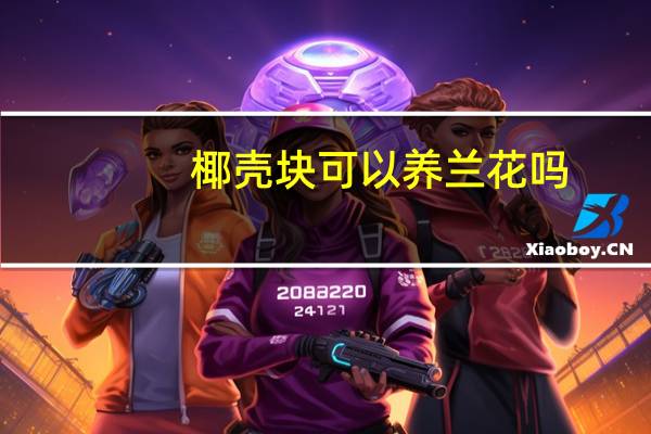 椰壳块可以养兰花吗