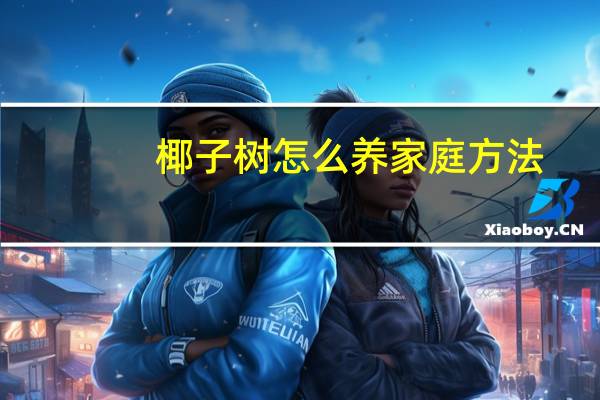 椰子树怎么养家庭方法