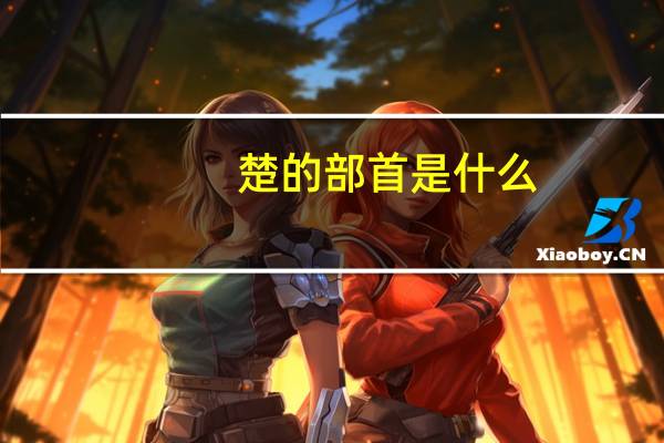 楚的部首是什么?（楚的部首）
