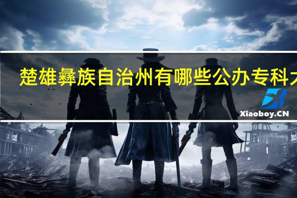 楚雄彝族自治州有哪些公办专科大学