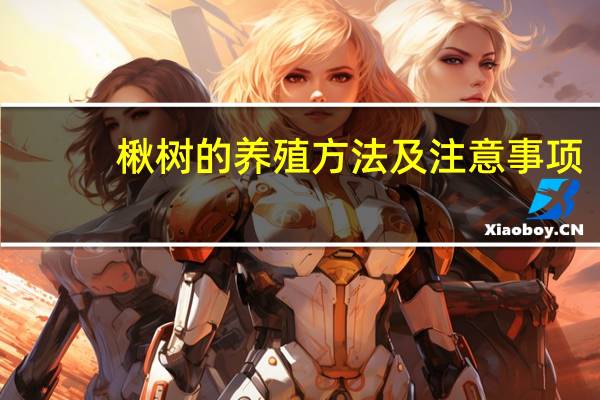 楸树的养殖方法及注意事项：喜光