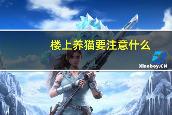 楼上养猫要注意什么