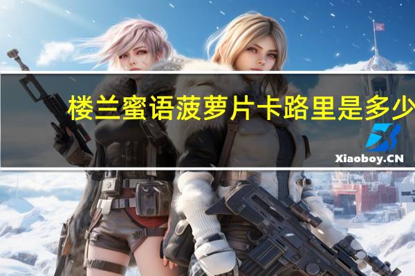 楼兰蜜语 菠萝片卡路里是多少