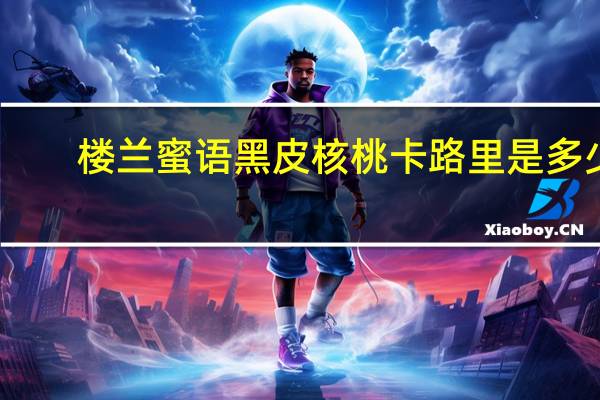 楼兰蜜语 黑皮核桃卡路里是多少