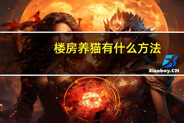 楼房养猫有什么方法