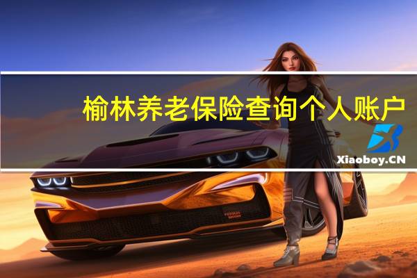 榆林养老保险查询个人账户（榆林养老保险查询个人账户）