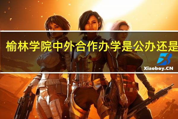 榆林学院中外合作办学是公办还是民办