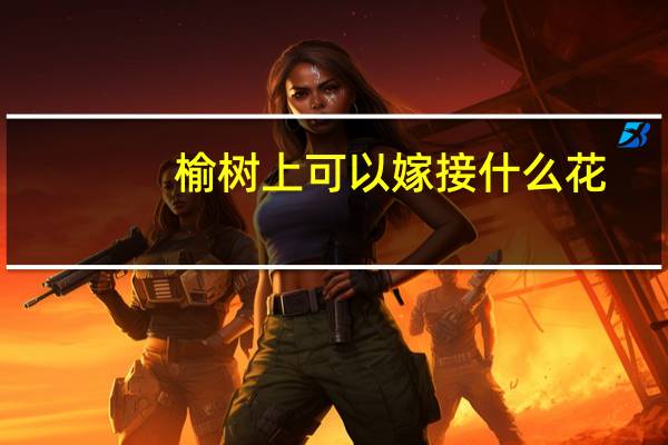 榆树上可以嫁接什么花