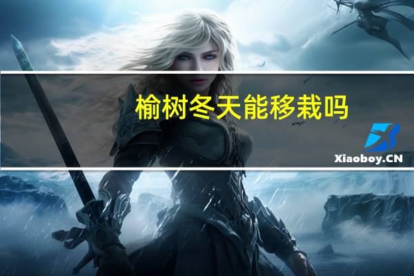 榆树冬天能移栽吗