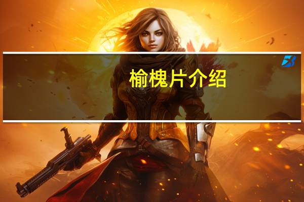 榆槐片介绍