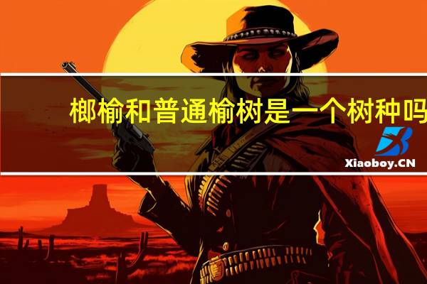 榔榆和普通榆树是一个树种吗（榔榆和榆树的区别）