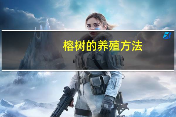 榕树的养殖方法