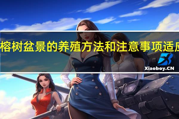 榕树盆景的养殖方法和注意事项适应温度（盆景榕树的养殖方法和注意事项是什么）