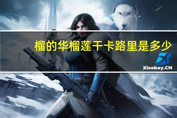 榴的华 榴莲干卡路里是多少