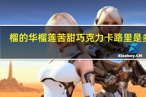 榴的华 榴莲苦甜巧克力卡路里是多少