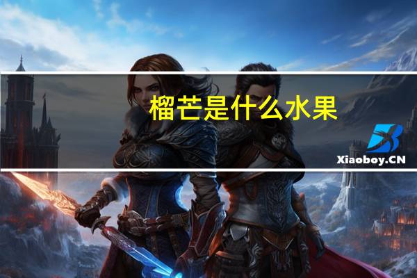 榴芒是什么水果