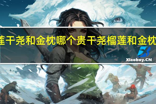 榴莲干尧和金枕哪个贵 干尧榴莲和金枕榴莲区别