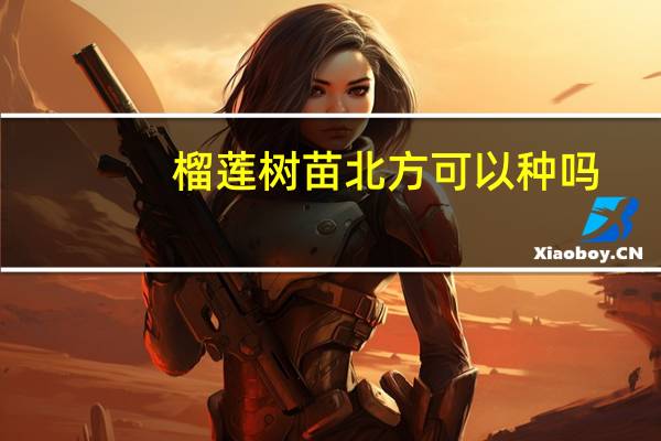 榴莲树苗北方可以种吗