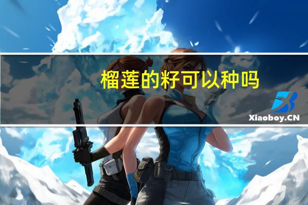 榴莲的籽可以种吗
