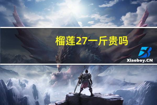 榴莲27一斤贵吗