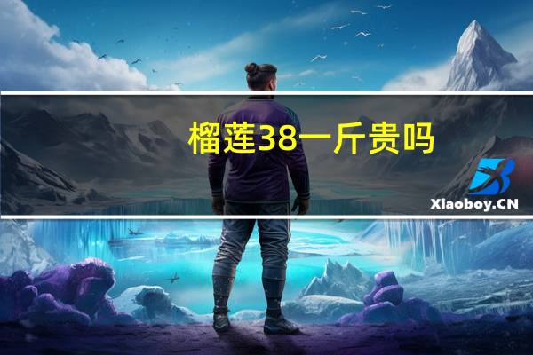 榴莲38一斤贵吗