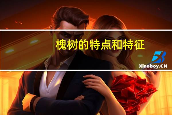 槐树的特点和特征