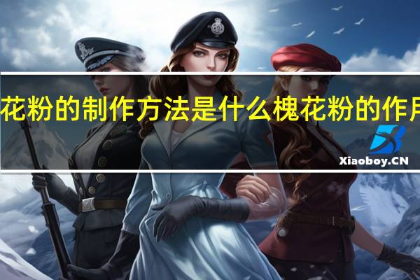 槐花粉的制作方法是什么 槐花粉的作用与功效
