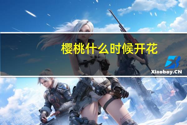 樱桃什么时候开花