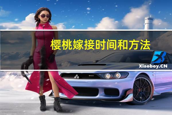 樱桃嫁接时间和方法