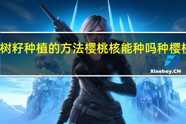 樱桃树籽种植的方法 樱桃核能种吗 种樱桃核的步骤