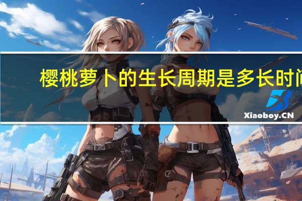 樱桃萝卜的生长周期是多长时间