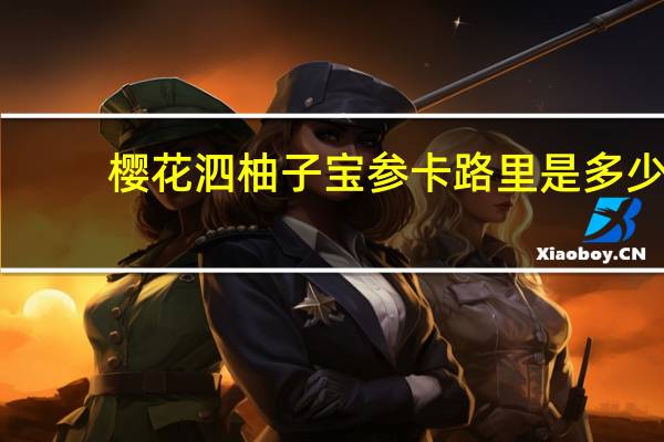 樱花泗 柚子宝参卡路里是多少