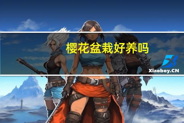 樱花盆栽好养吗