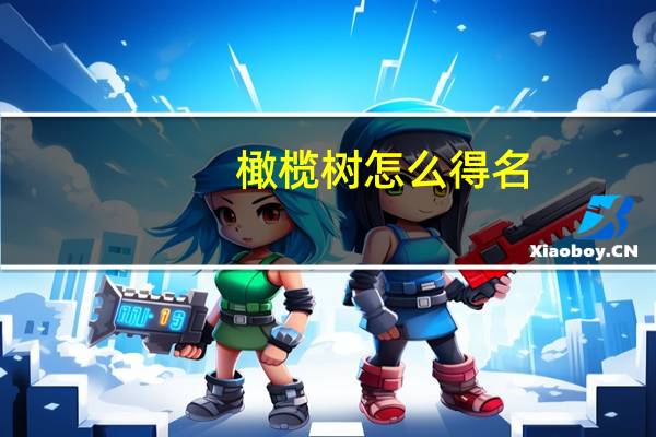 橄榄树怎么得名