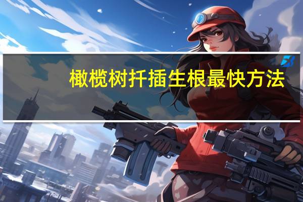 橄榄树扦插生根最快方法