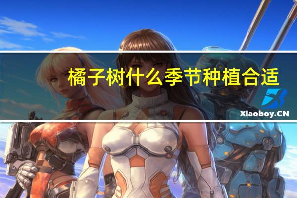 橘子树什么季节种植合适