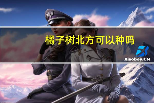 橘子树北方可以种吗