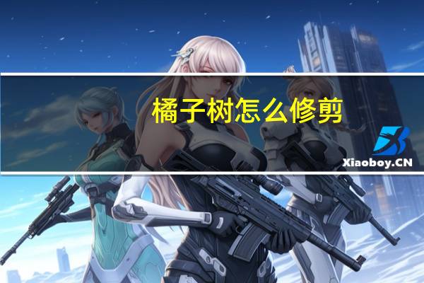 橘子树怎么修剪