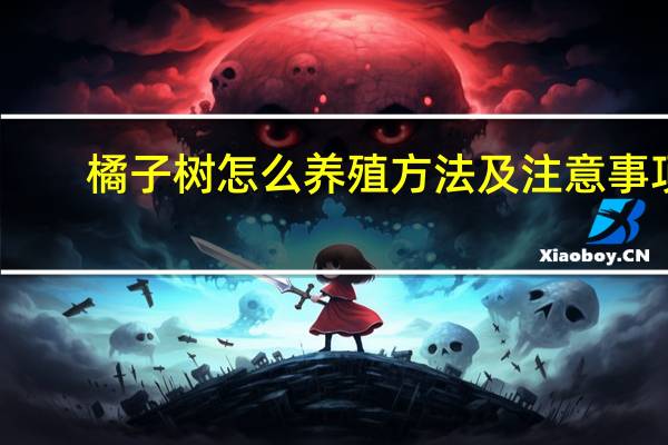 橘子树怎么养殖方法及注意事项