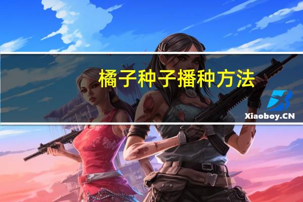 橘子种子播种方法