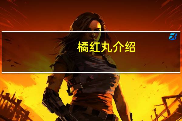 橘红丸（浓缩丸）介绍