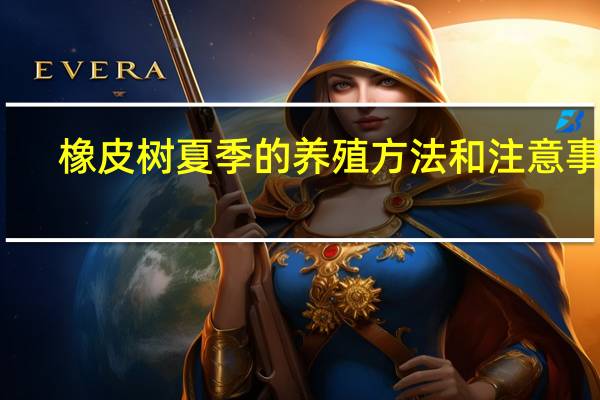 橡皮树夏季的养殖方法和注意事项