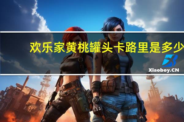 欢乐家 黄桃罐头卡路里是多少