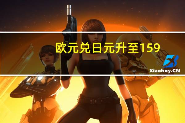 欧元兑日元升至159.945的15年高点日内上涨1%