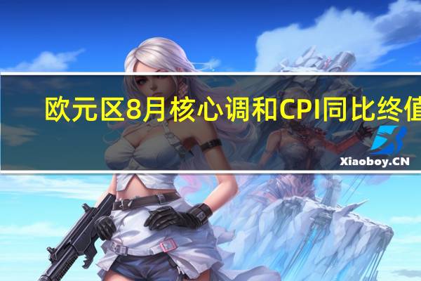 欧元区8月核心调和CPI同比终值 5.3%预期 5.3%初值 5.3%