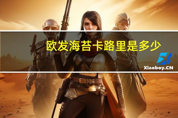 欧发 海苔卡路里是多少