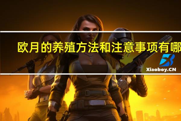 欧月的养殖方法和注意事项有哪些