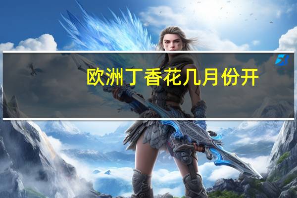 欧洲丁香花几月份开