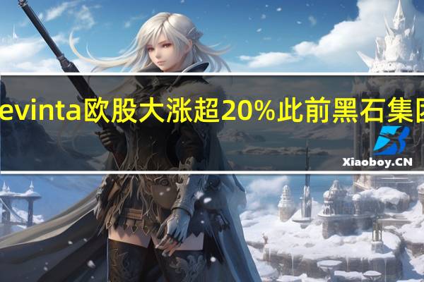 欧洲在线分类广告公司Adevinta欧股大涨超20%此前黑石集团、Permira考虑收购Adevinta